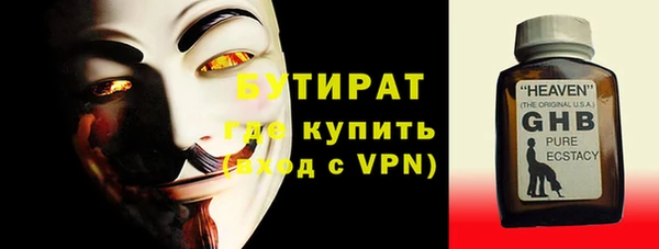 индика Инта