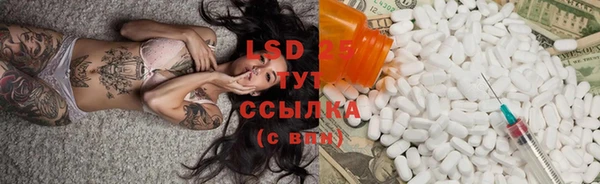 PSILOCYBIN Гусев