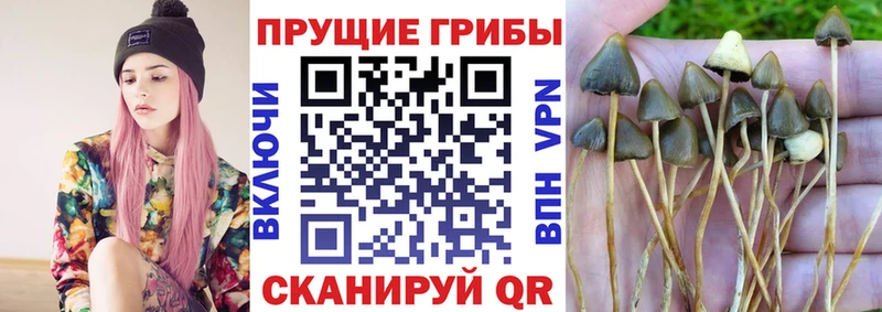 наркошоп  Североморск  Галлюциногенные грибы ЛСД 